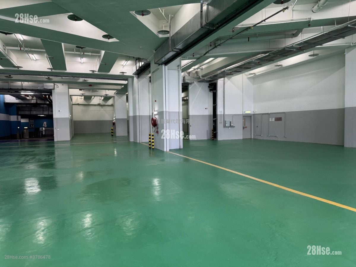 Kwai Chung Ramp Access Warehouse Rental