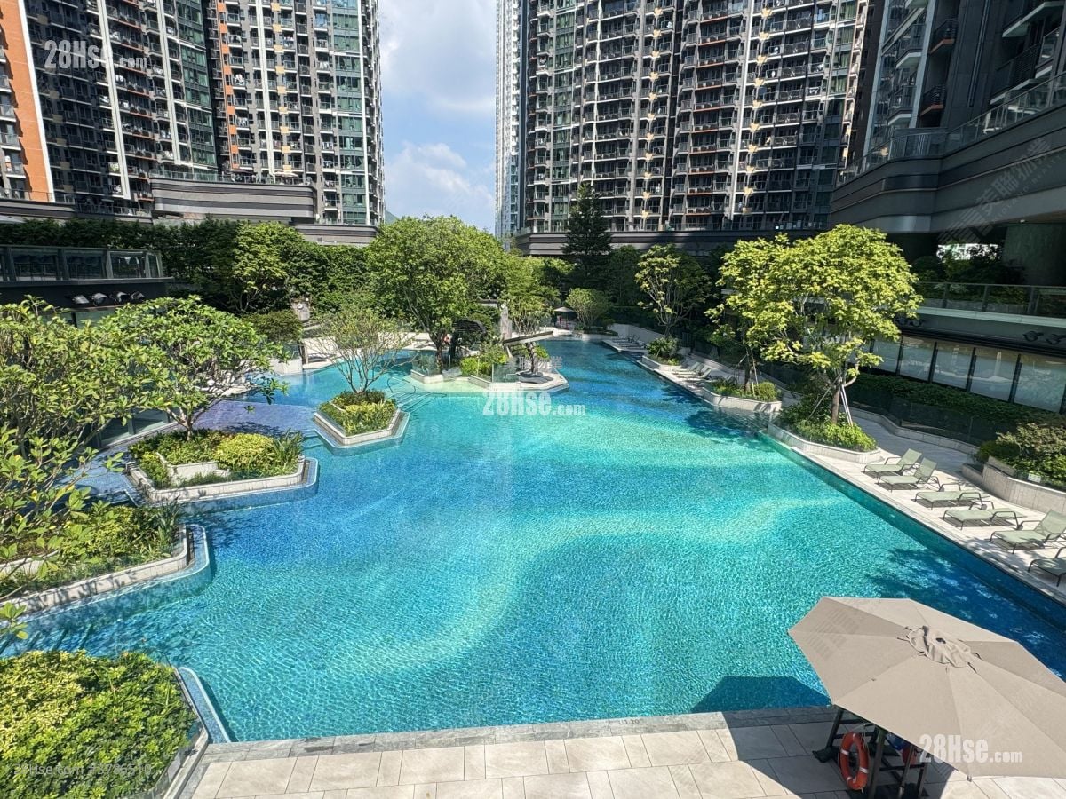 Novo Land Rental 1 Bedroom , 1 Bathroom 297 ft²