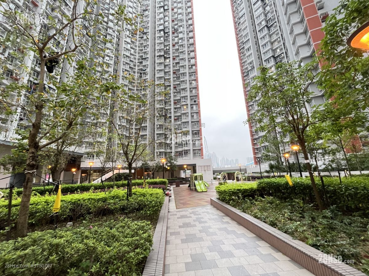 Hoi Lok Court Sell 2 Bedrooms , 1 Bathroom 477 ft²