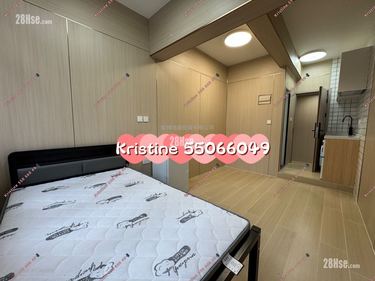901 Canton Road Rental Studio , 1 Bathroom 180 ft²
