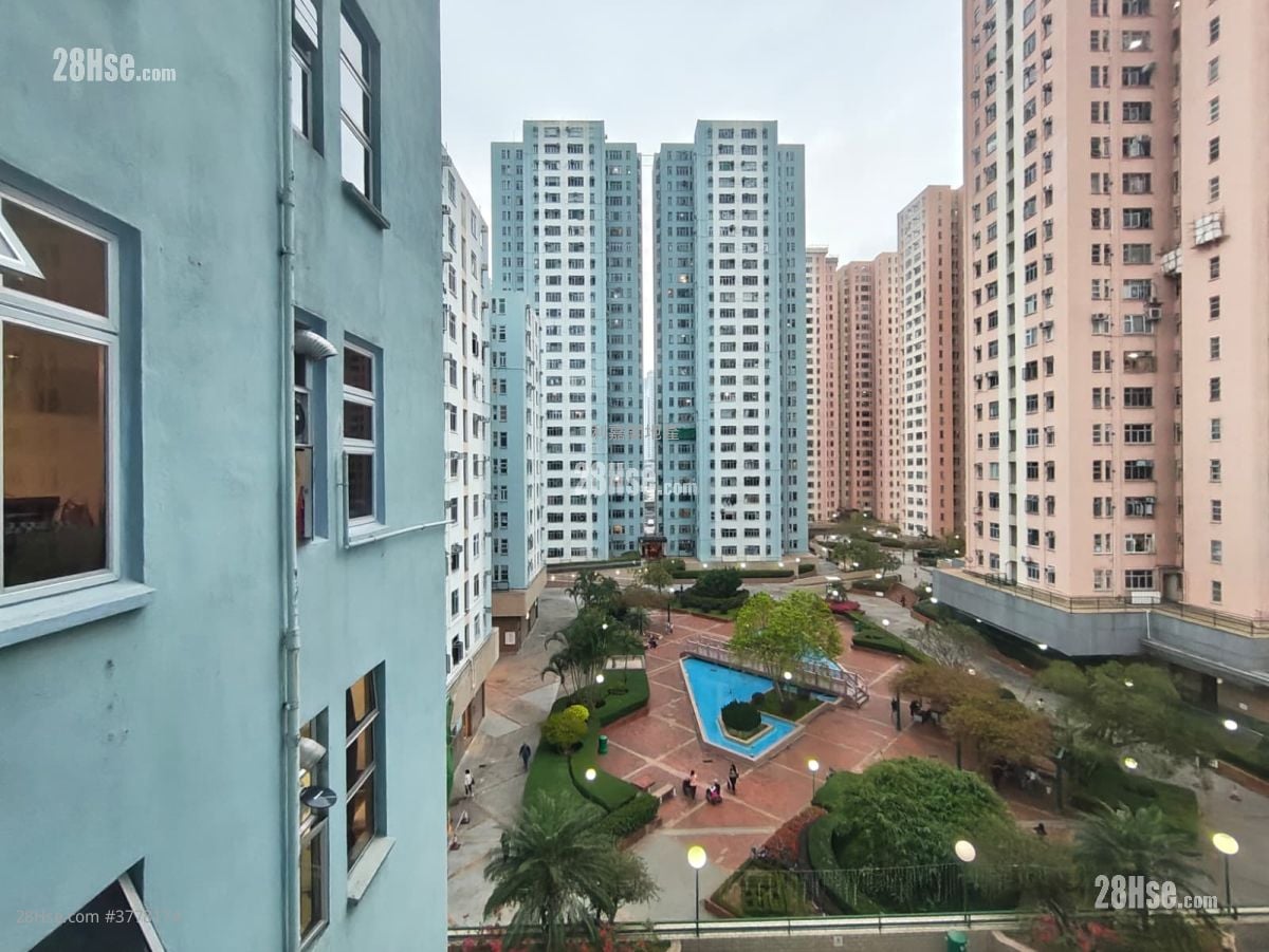 德福花园 售盘 2 房 517 平方尺