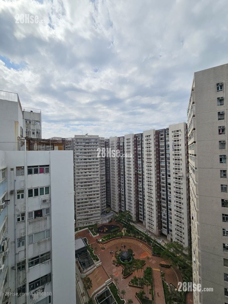 Ngan Fai  Building Sell 1 Bedroom , 1 Bathroom 255 ft²