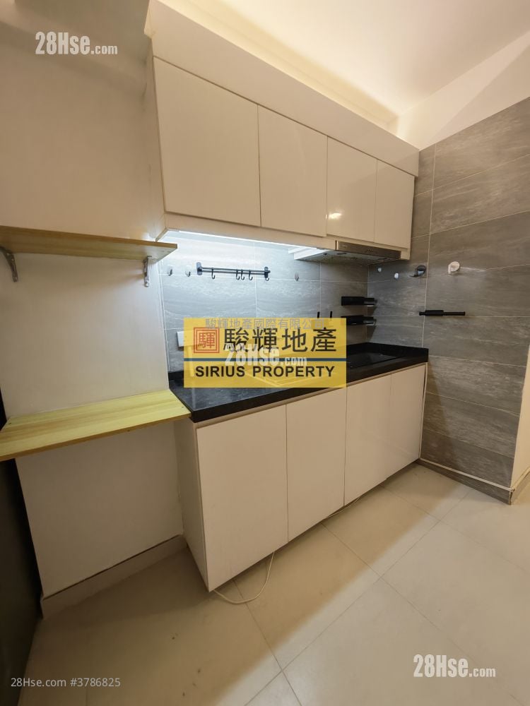 通菜街121号 租盘 1 房 , 1 浴室 350 平方尺