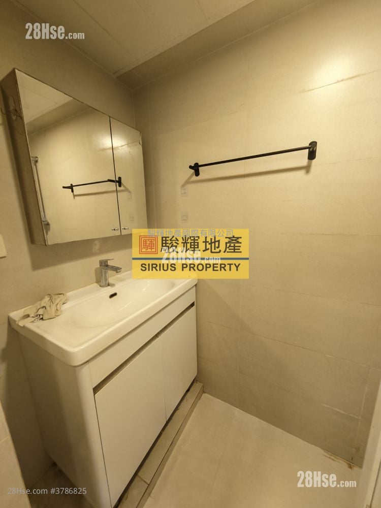 通菜街121号 租盘 1 房 , 1 浴室 350 平方尺