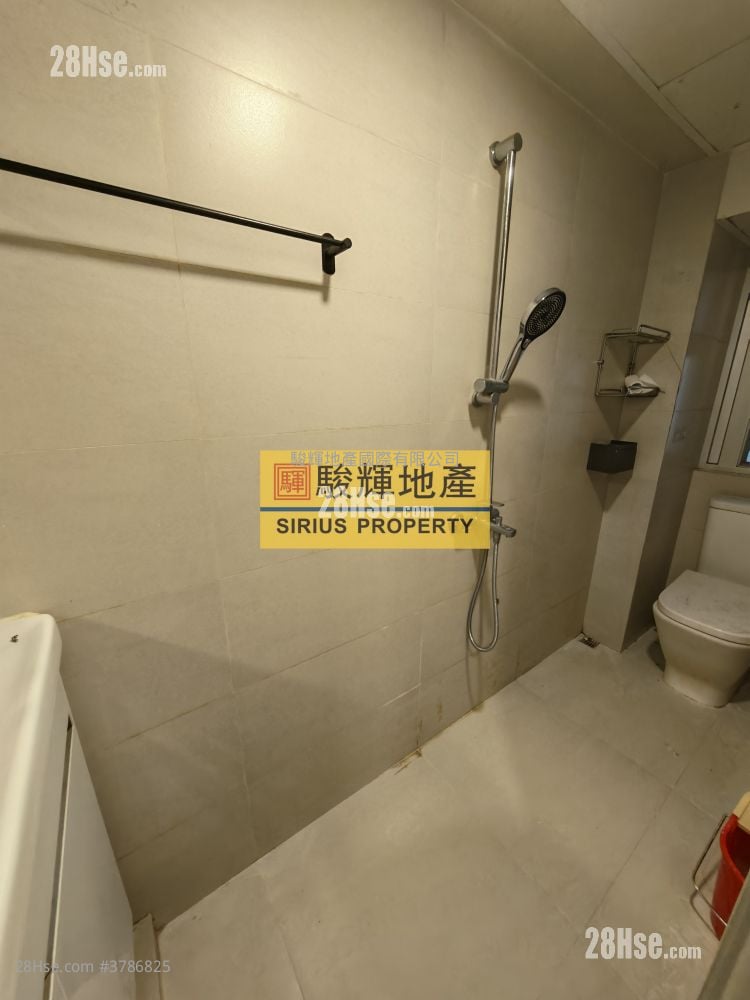 通菜街121号 租盘 1 房 , 1 浴室 350 平方尺