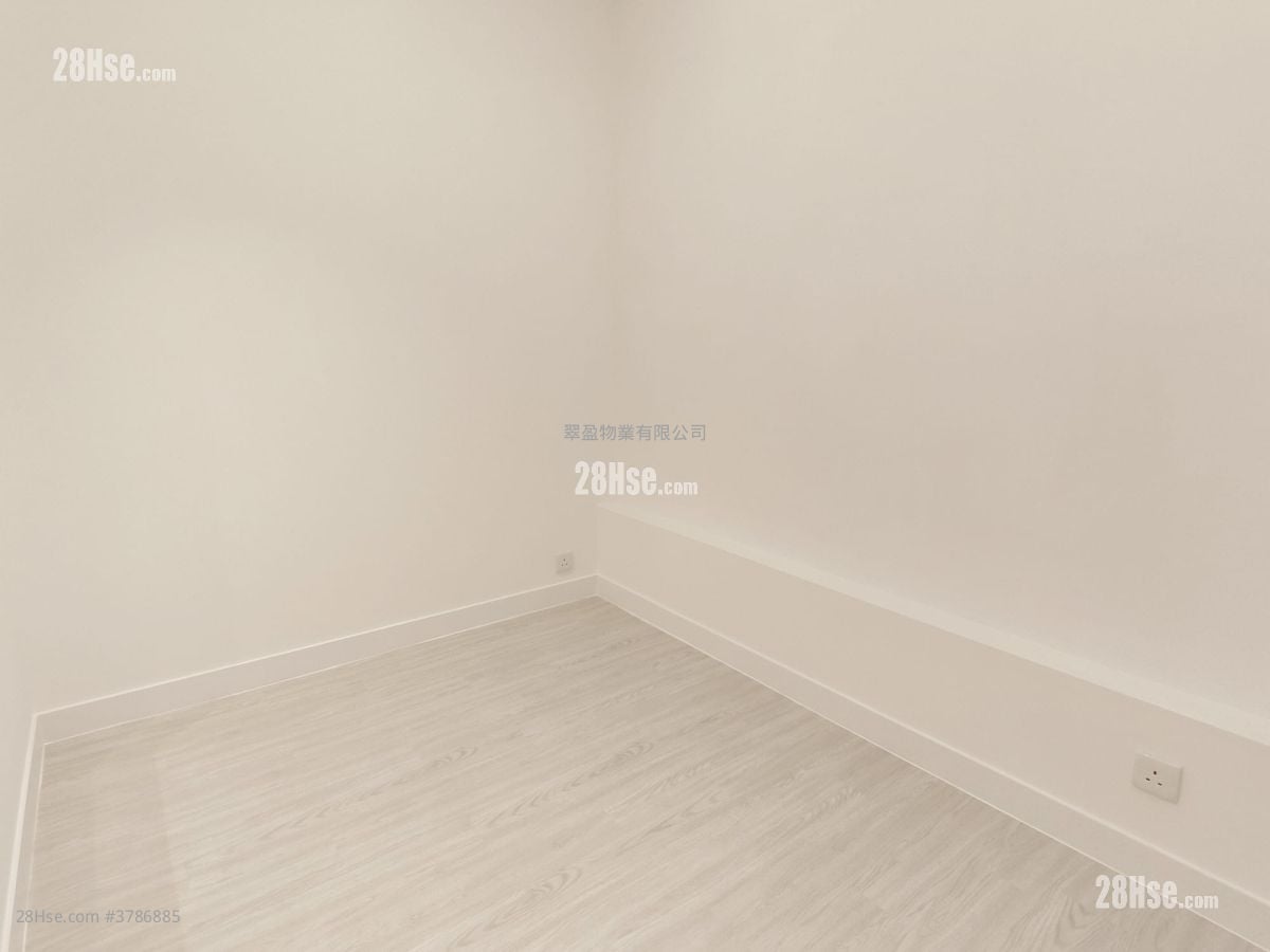 骆驼漆大厦 租盘