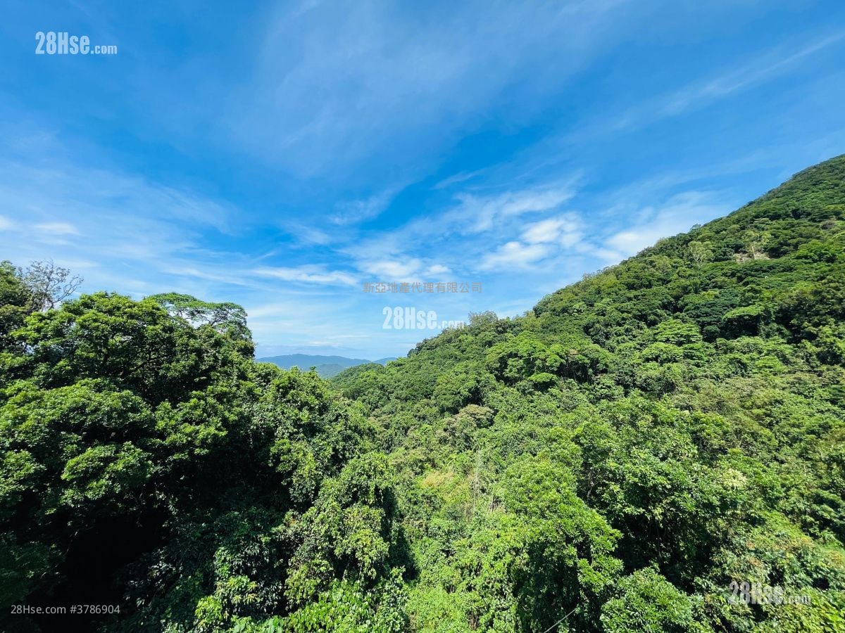 村屋 售盘 3 房 , 1 浴室