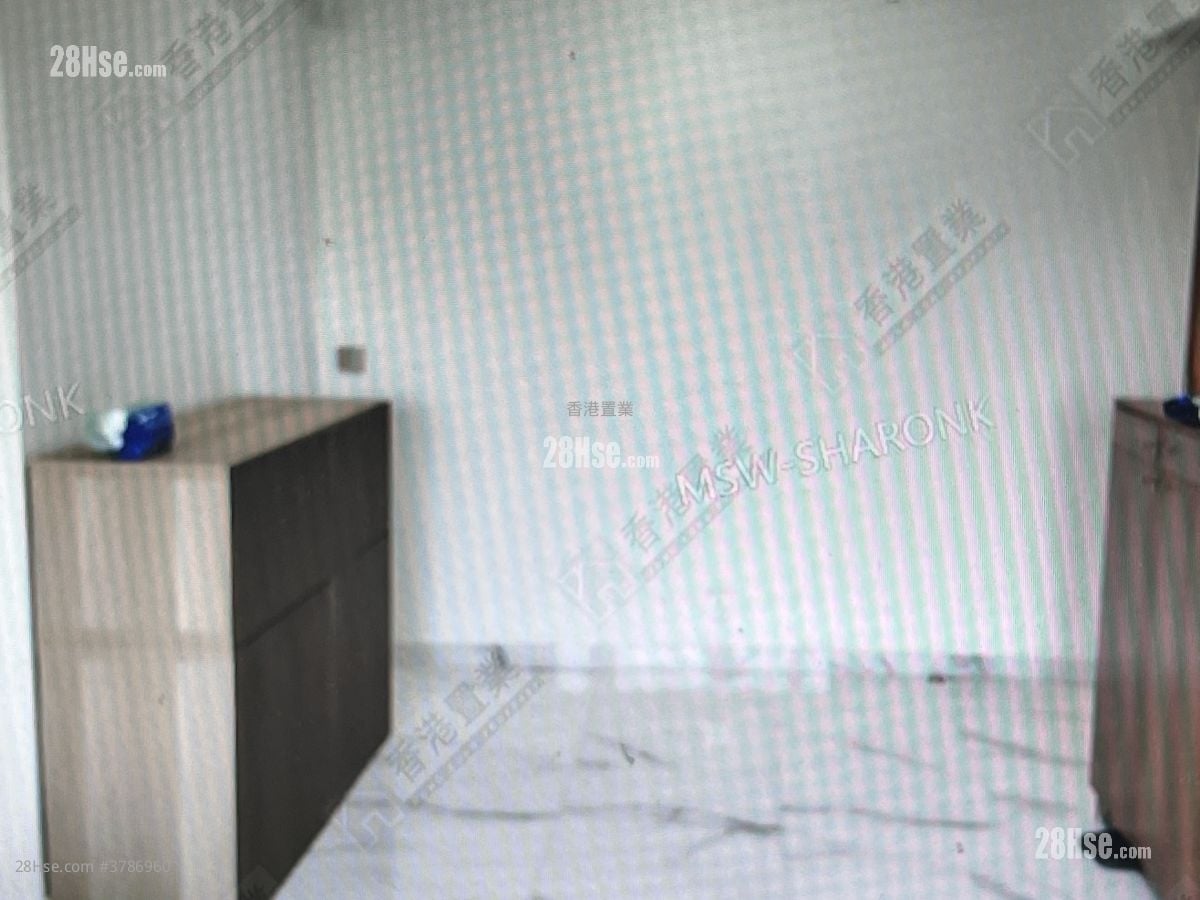 Ocean Shores Rental 2 Bedrooms , 1 Bathroom 484 ft²