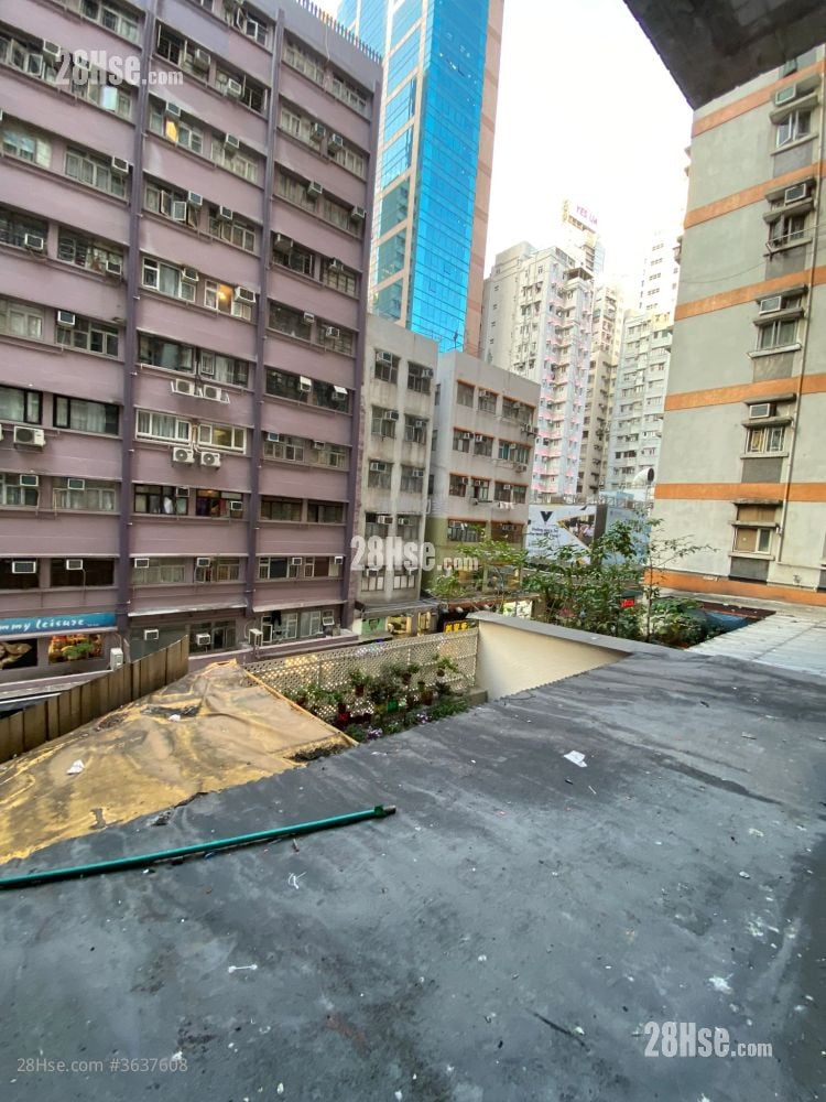 文安楼 售盘 2 房 , 1 浴室 457 平方尺