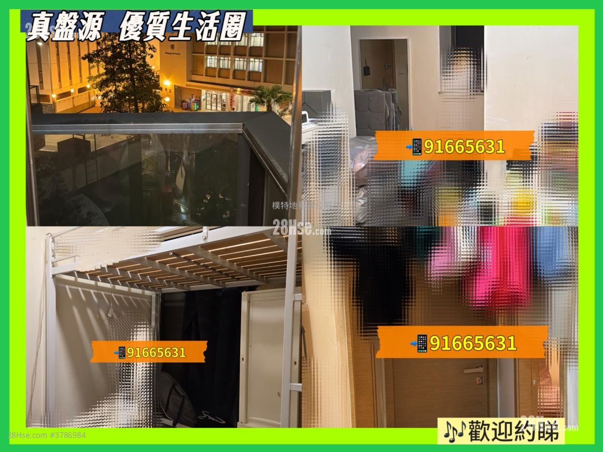 皓畋 售盘 2 房 , 1 浴室 595 平方尺