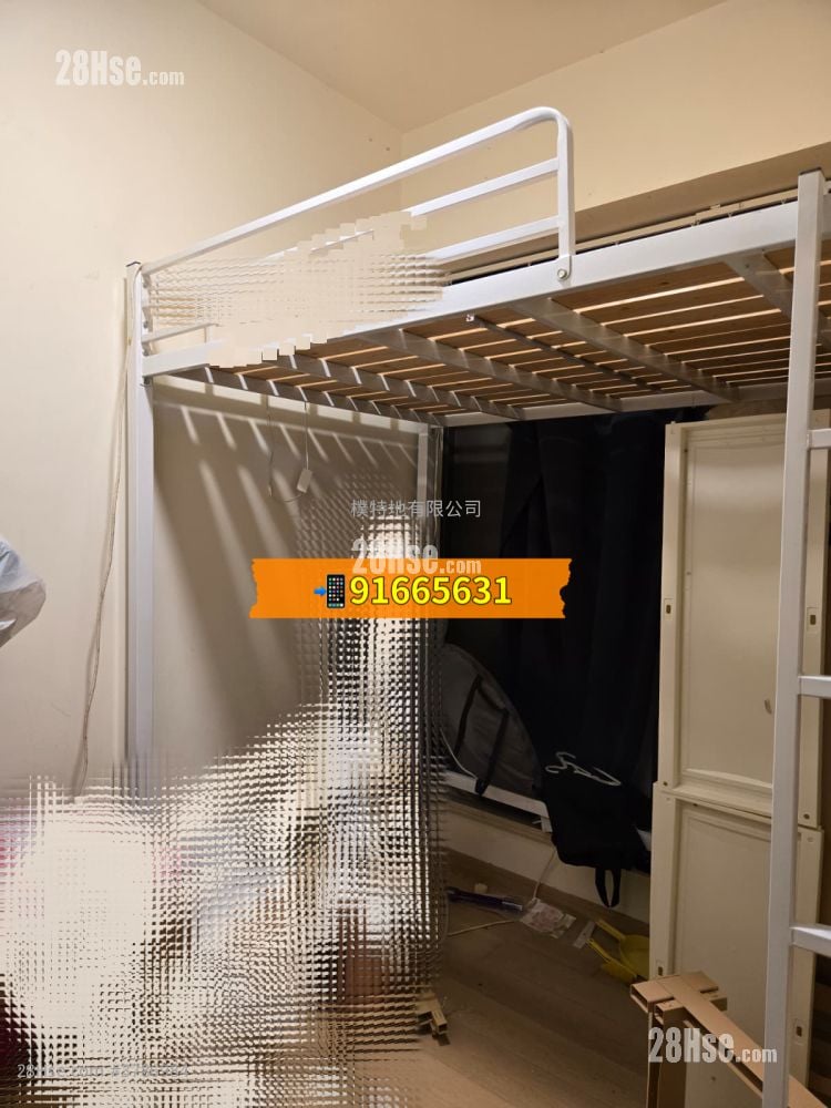 皓畋 售盘 2 房 , 1 浴室 595 平方尺