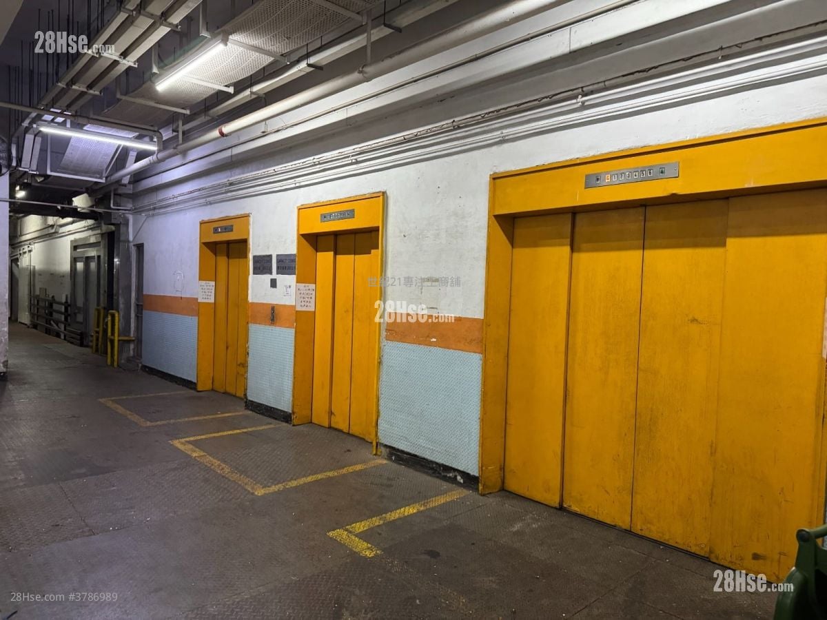沙田工业中心 租盘 2 厕所