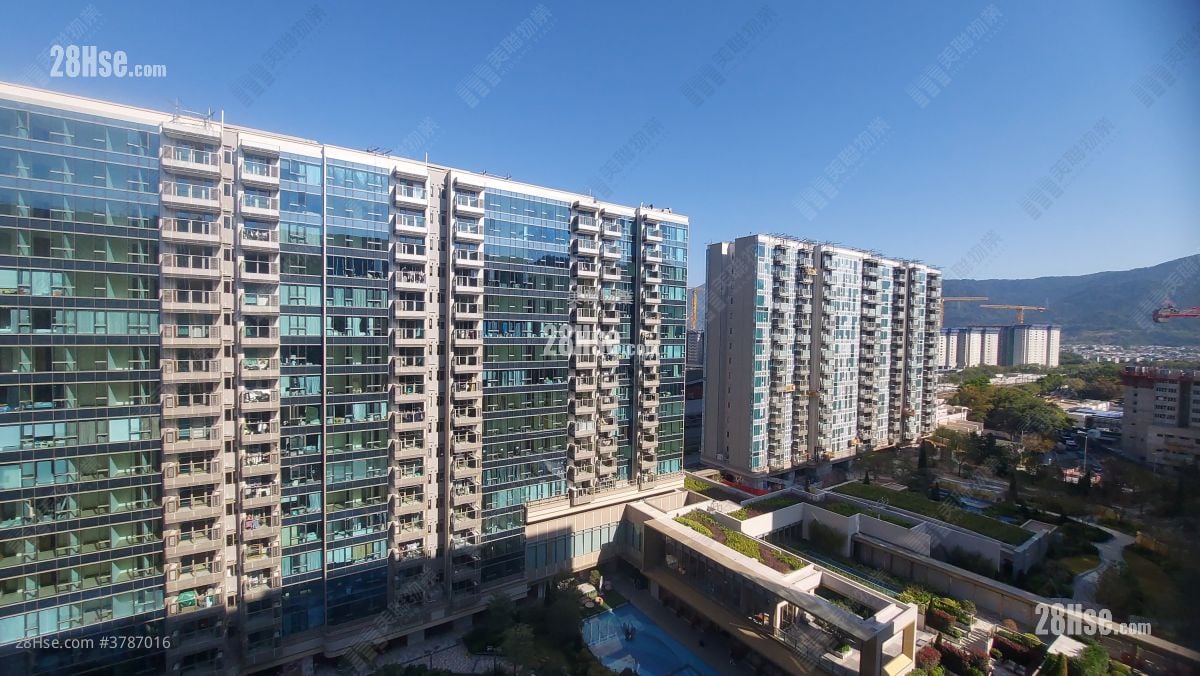 Grand Mayfair  Rental 768 ft²