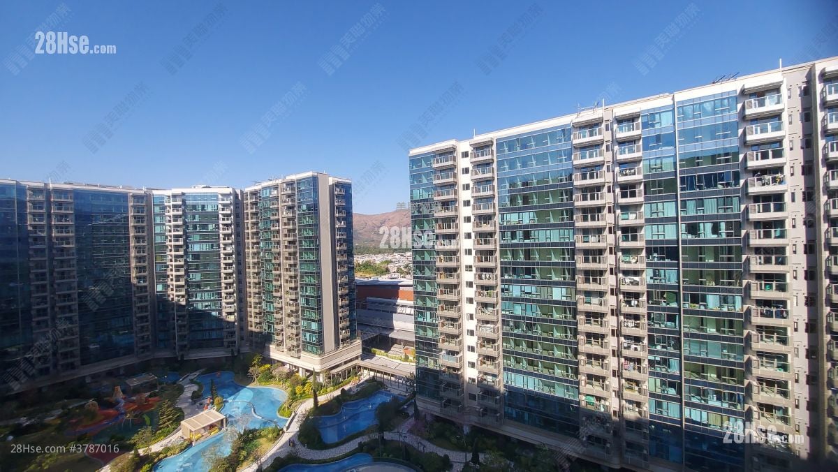 Grand Mayfair  Rental 768 ft²