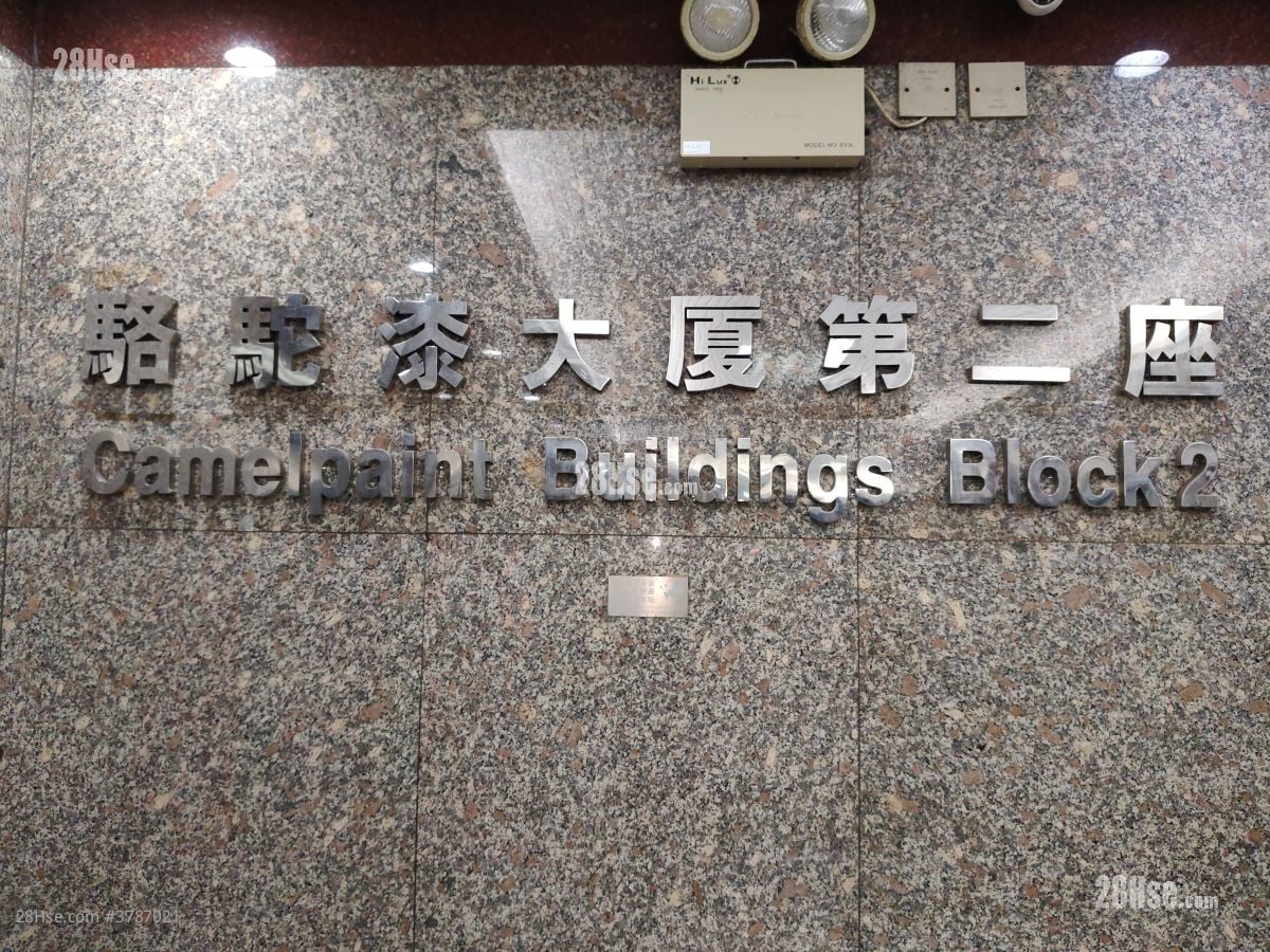 骆驼漆大厦 租盘