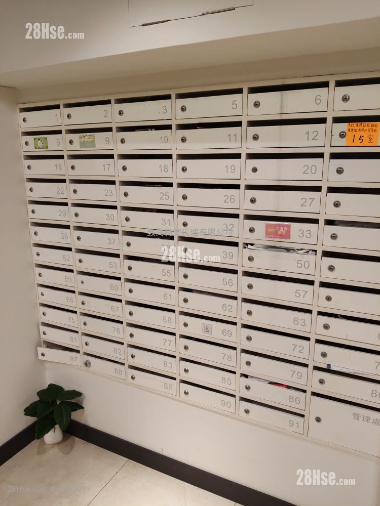 骆驼漆大厦 租盘