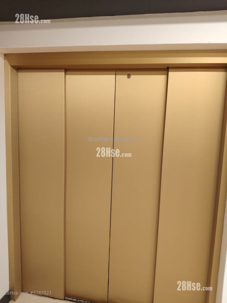 骆驼漆大厦 租盘