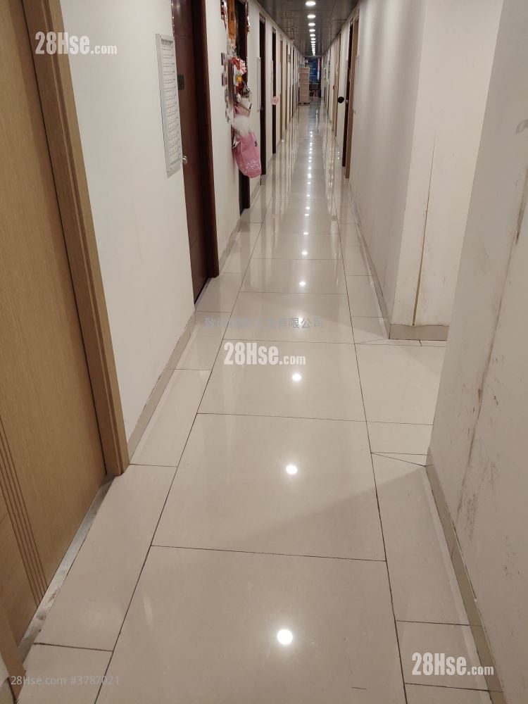 骆驼漆大厦 租盘