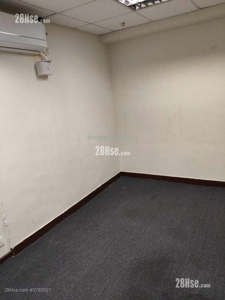 骆驼漆大厦 租盘