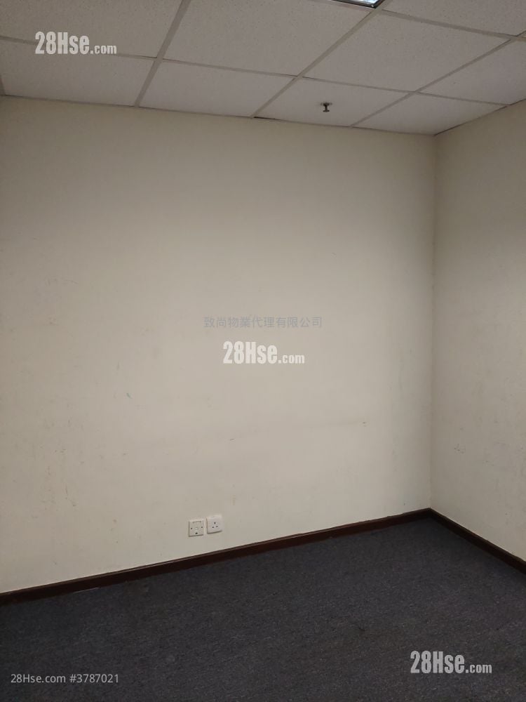 骆驼漆大厦 租盘