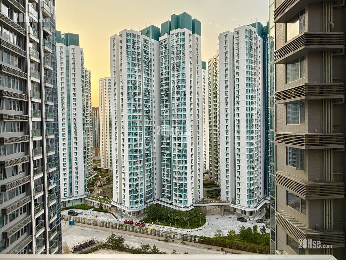 东环 租盘 2 房 , 1 浴室 483 平方尺