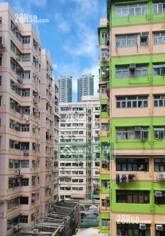 大同新村 售盤 1 房 , 1 浴室 325 平方呎