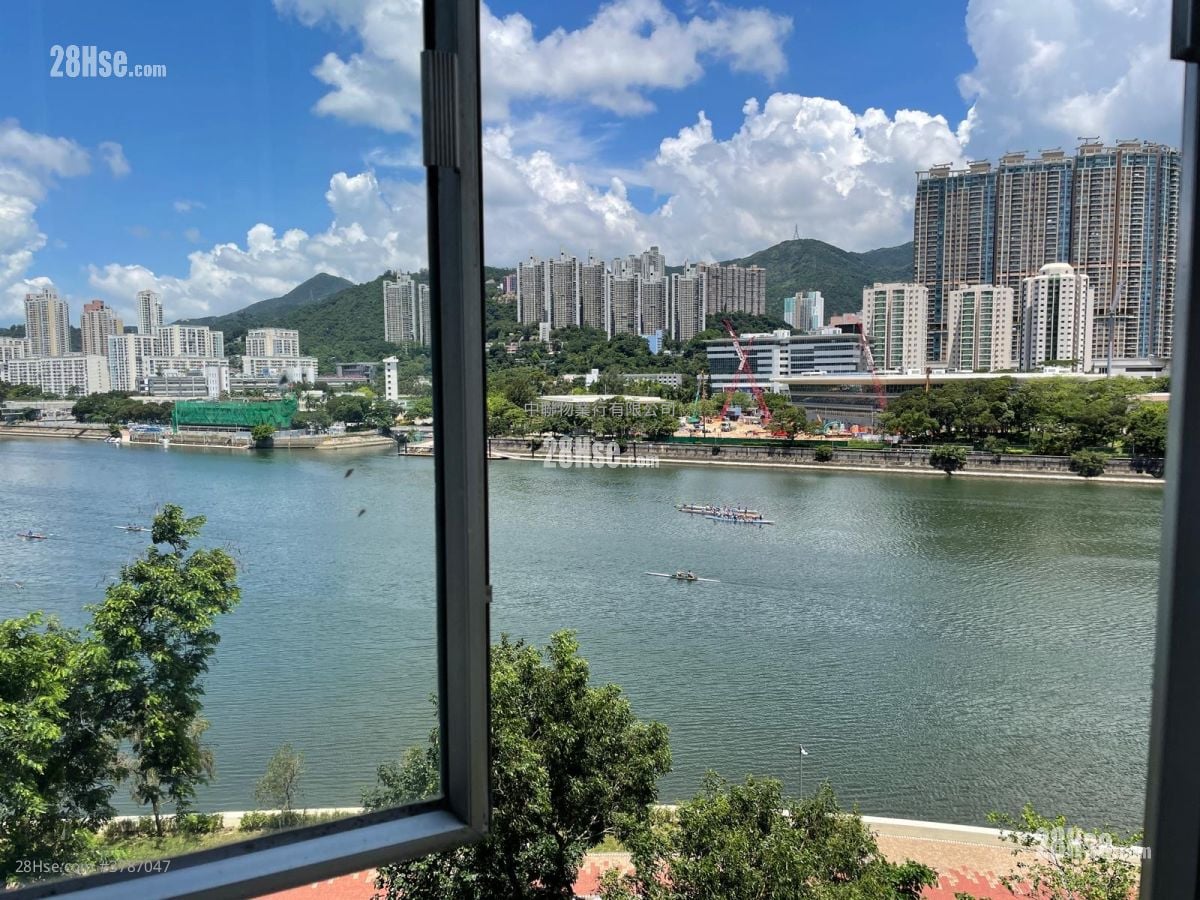 滨景花园 租盘 544 平方尺