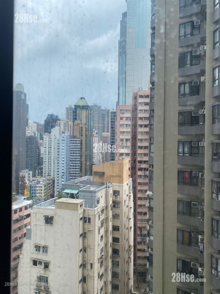 高乐花园 租盘 1 房 310 平方尺