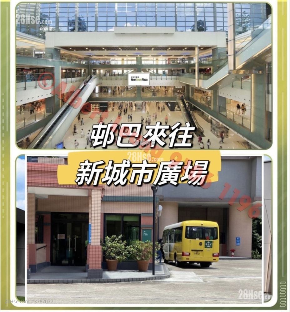 Castello Sell 2 Bedrooms , 1 Bathroom 547 ft²