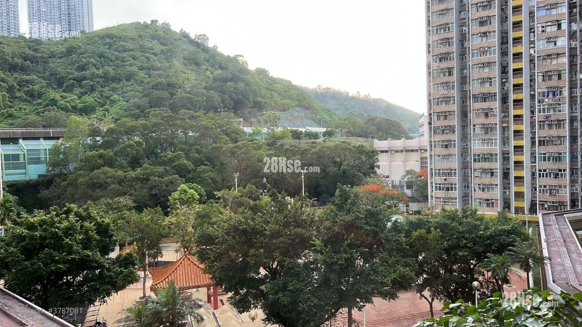 长安邨 售盘 443 平方尺