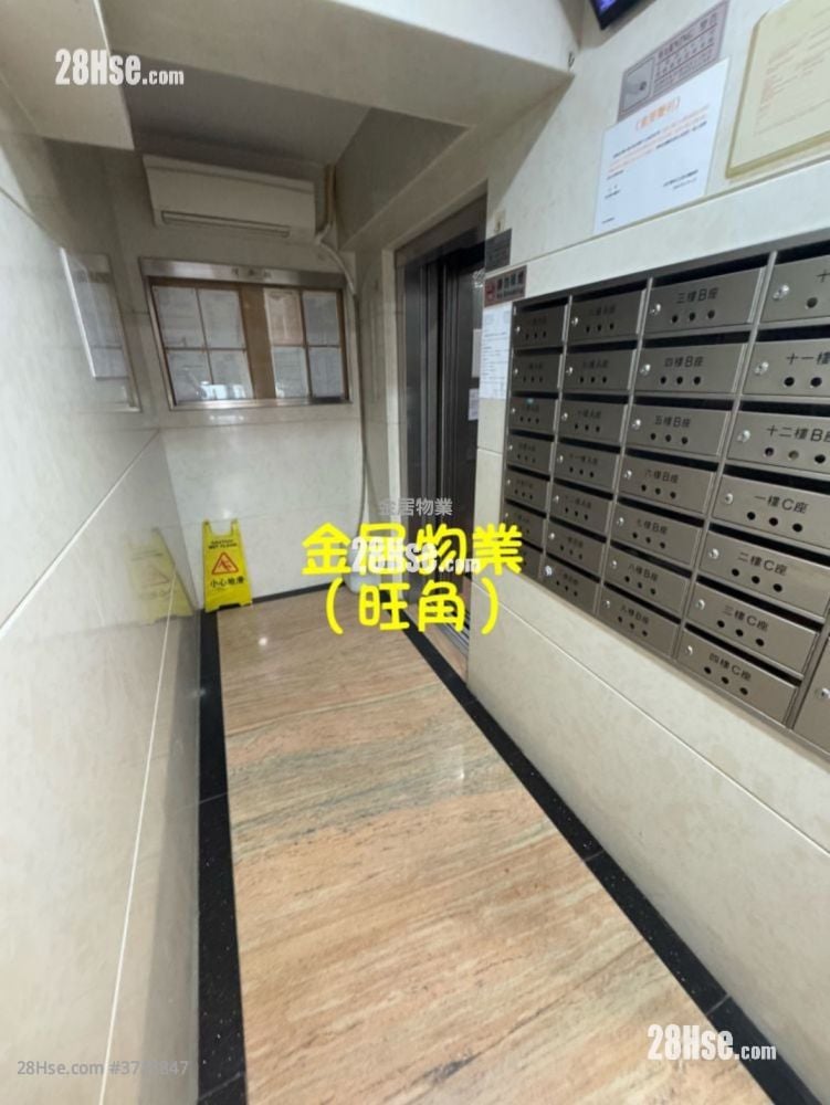 金旺楼 租盘 1 房 , 1 浴室