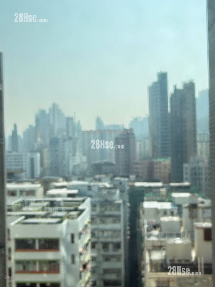 Downtown 38 售盘 1 房 , 1 浴室 309 平方尺