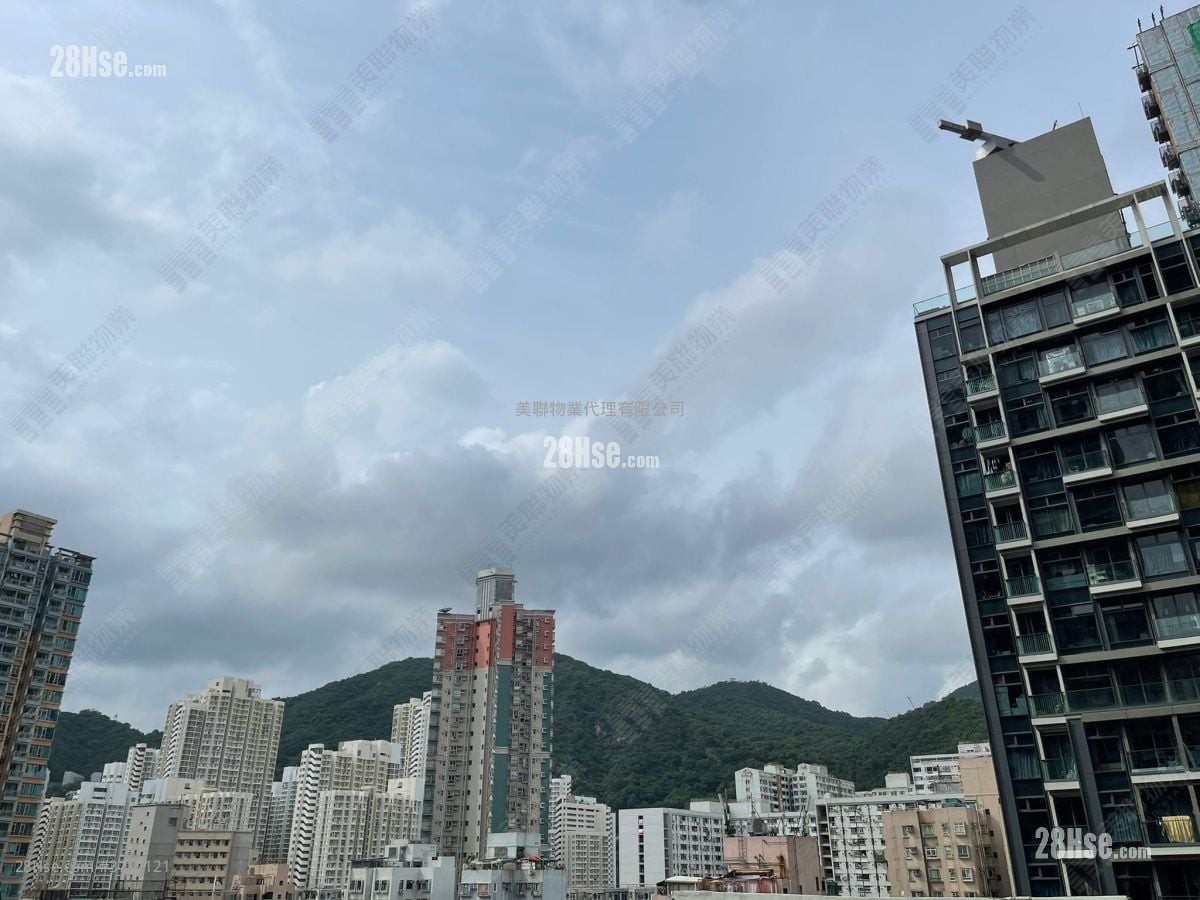 睿峰 售盘 1 房 300 平方尺