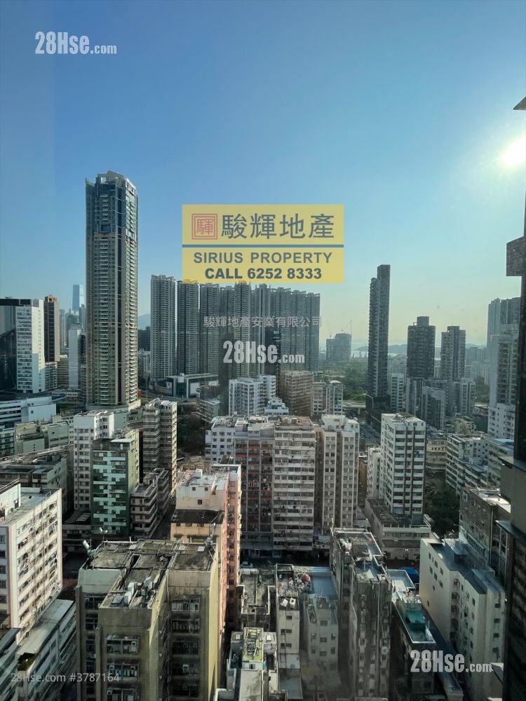 AVA228 租盘 249 平方尺