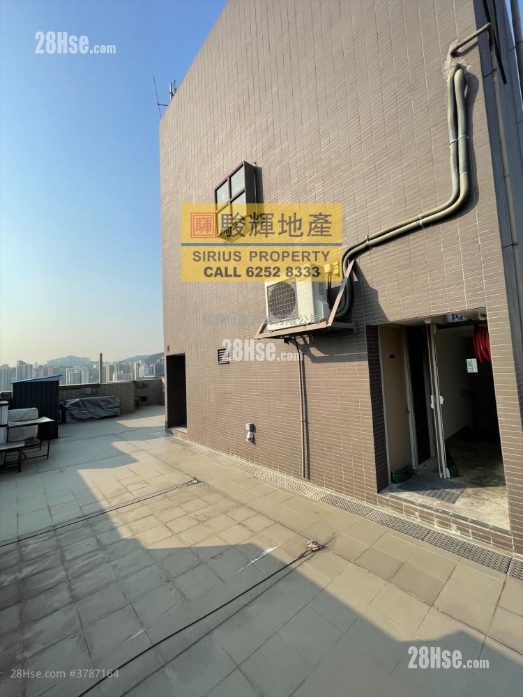 AVA228 租盘 249 平方尺