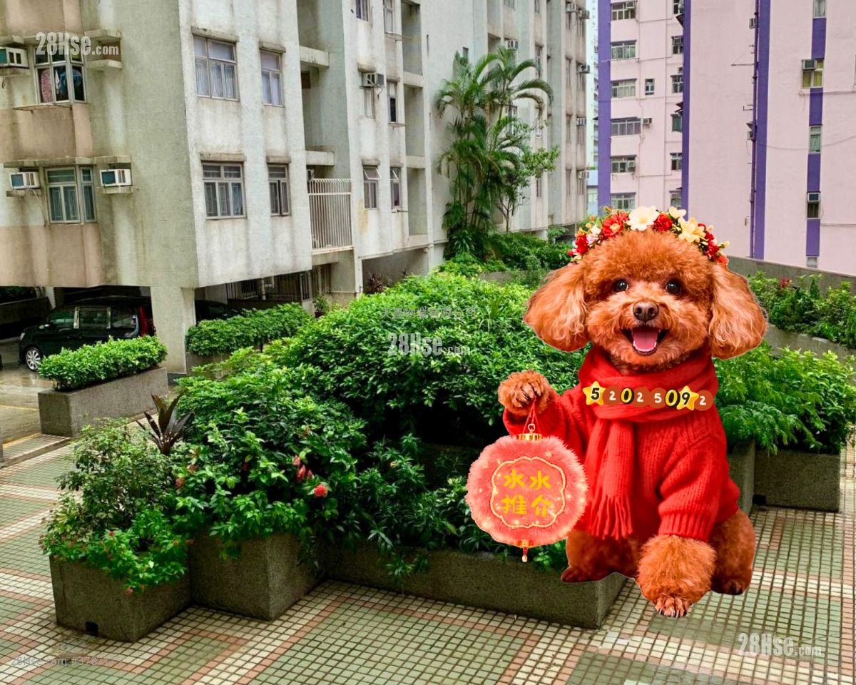 Sunshine Plaza Sell 2 Bedrooms , 1 Bathroom 314 ft²