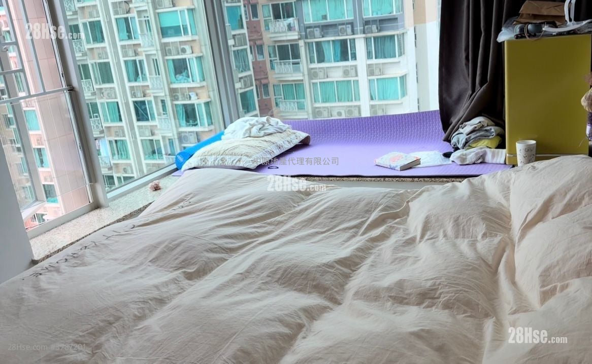 Festival City Sell 3 Bedrooms 785 ft²