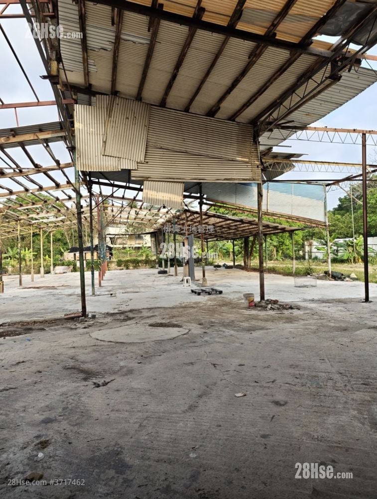 上水 售盤 80,000 平方呎