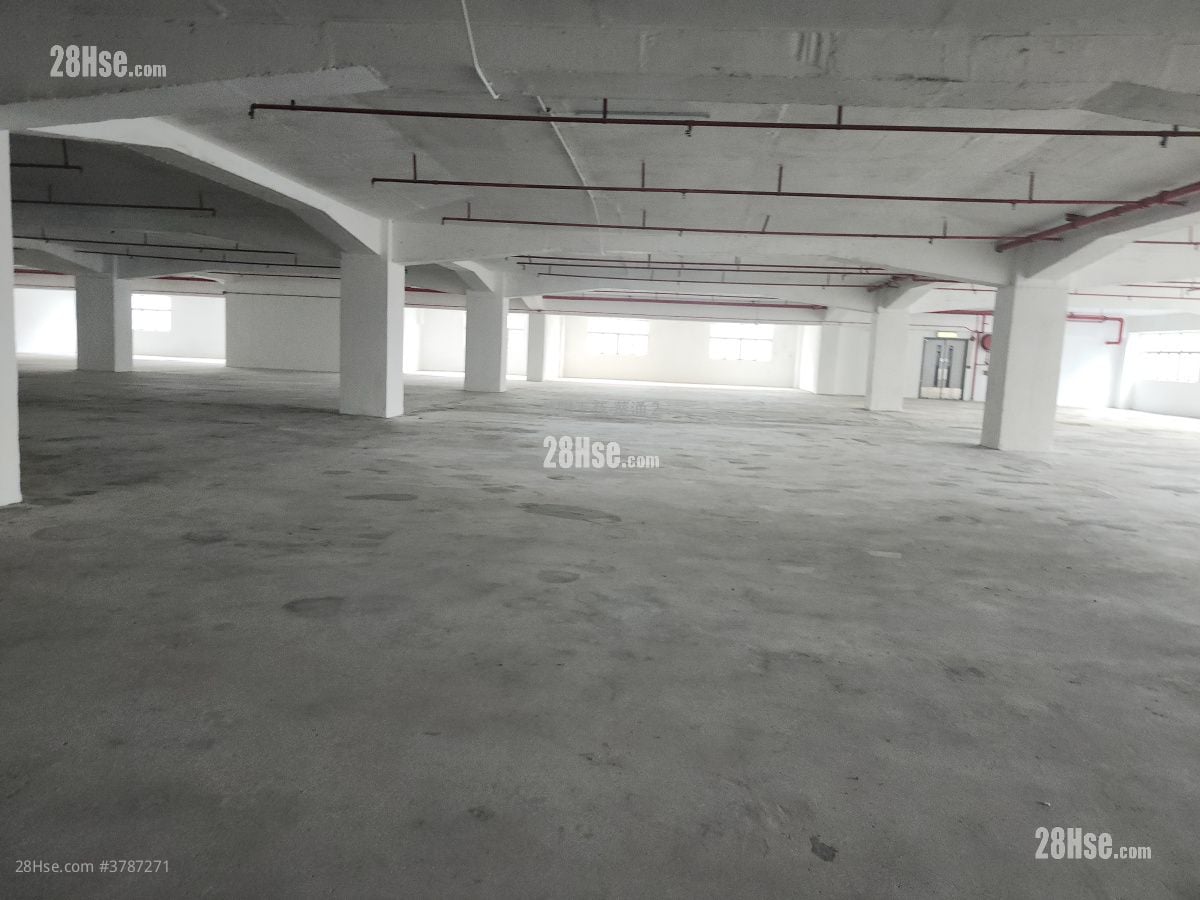 屯门工业中心 售盘 开放式间隔