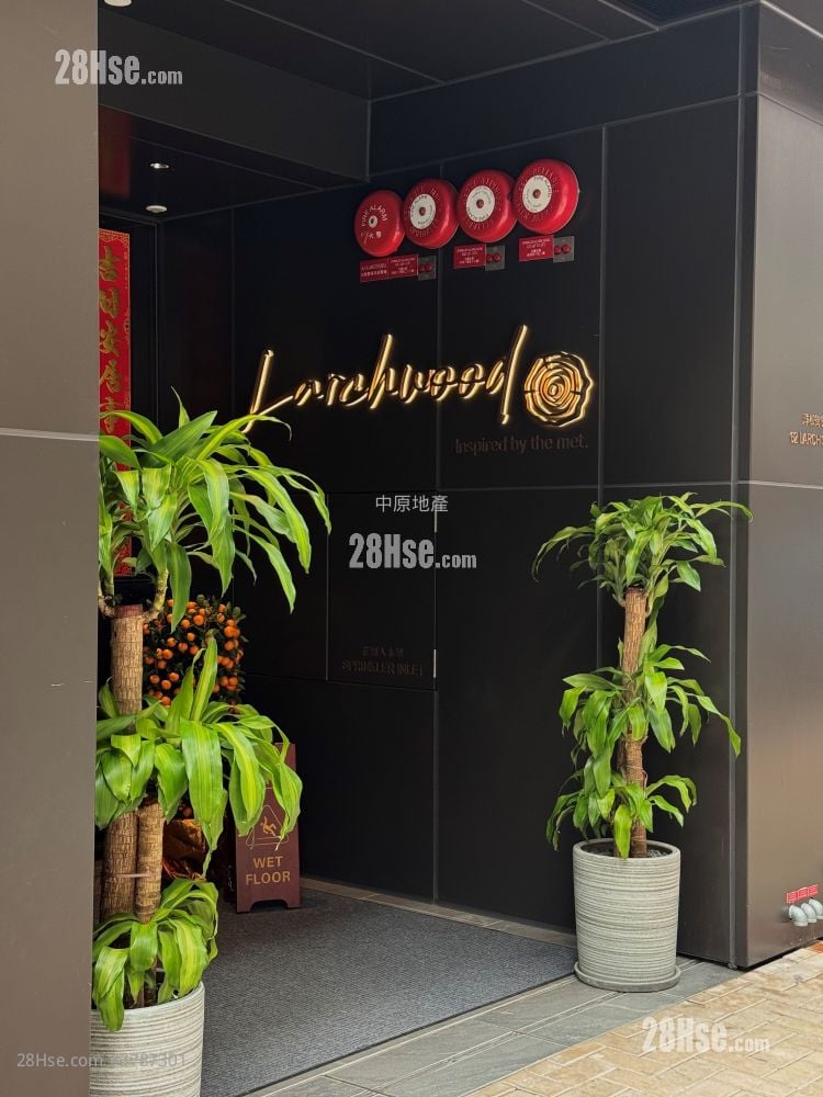 Larchwood 售盘 开放式间隔 , 1 浴室 203 平方尺