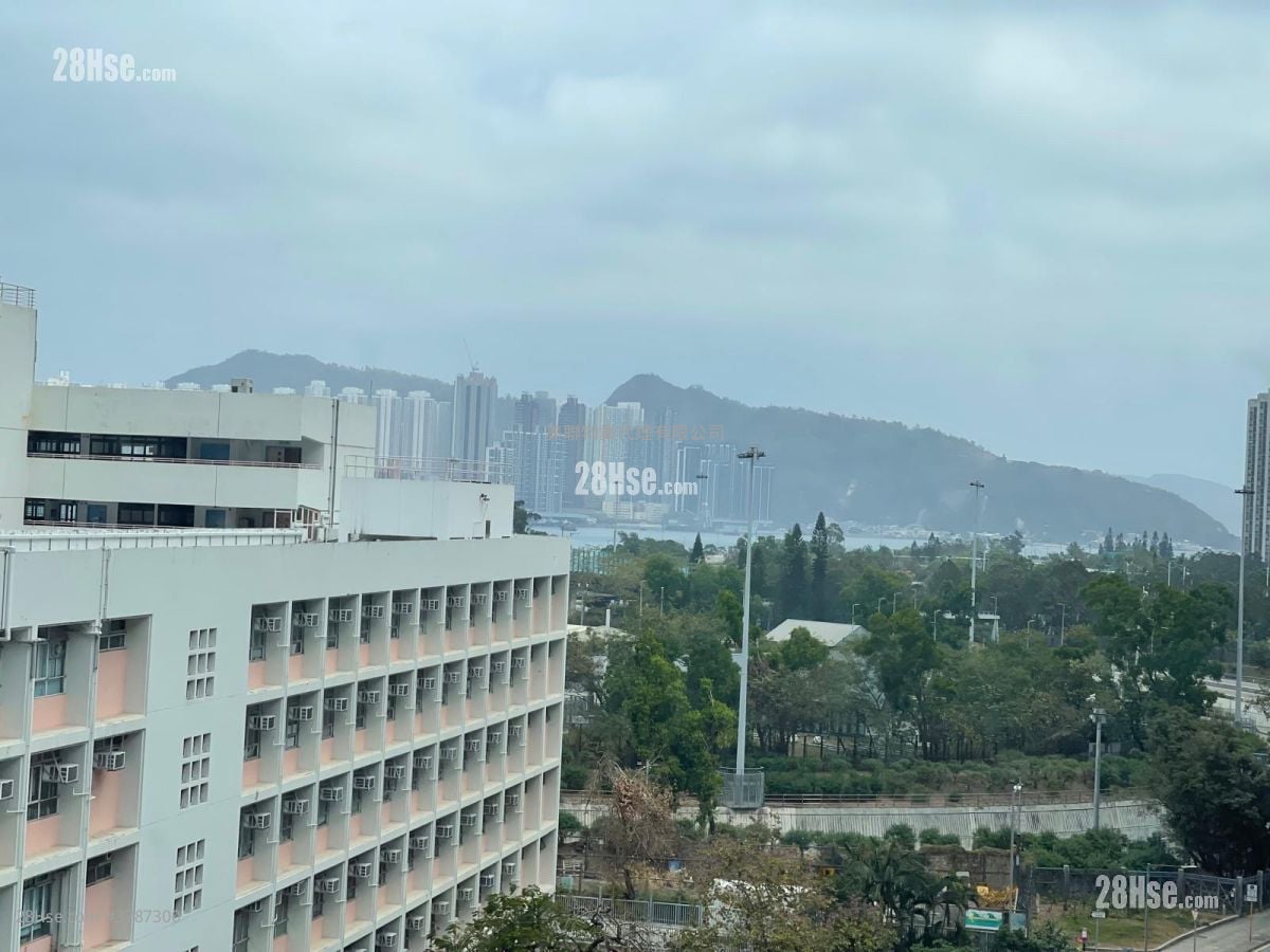 Finnie Rental 364 ft²