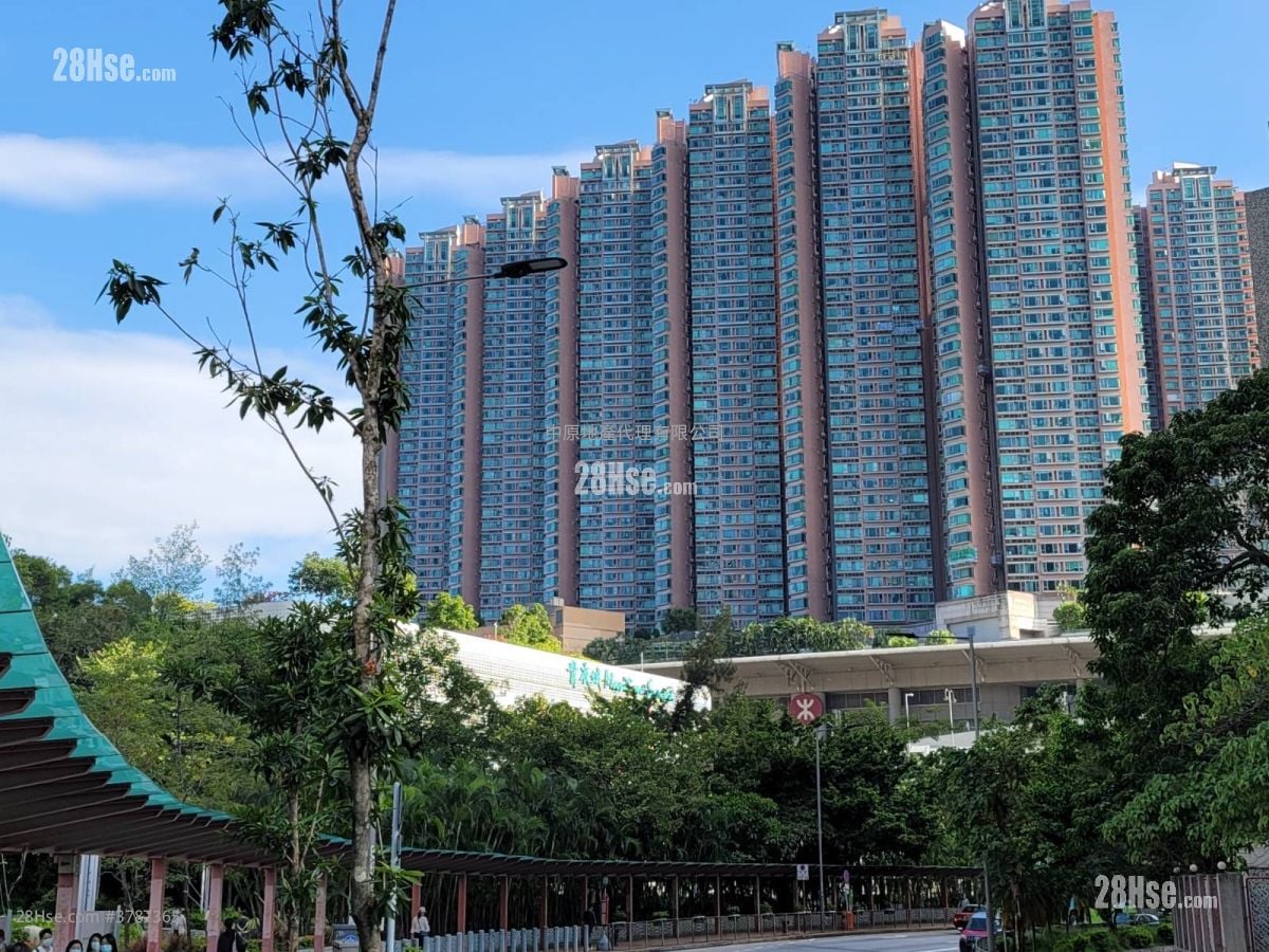 Tierra Verde Rental 765 ft²