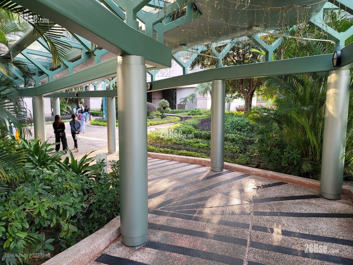 Tierra Verde Rental 765 ft²