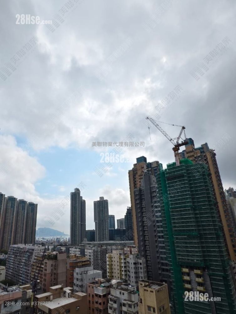 Lime Stardom Sell 338 ft²