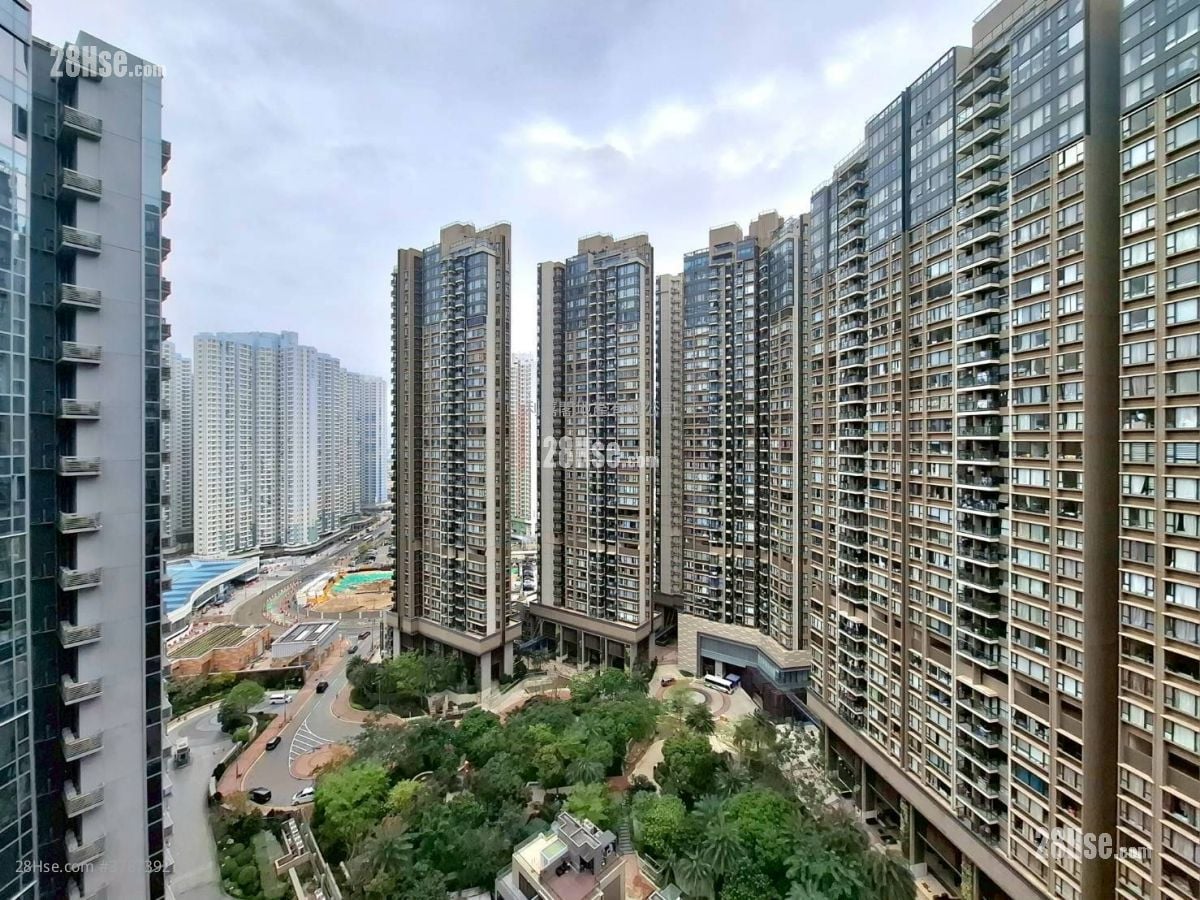 Century Link Rental 1 Bedroom 377 ft²