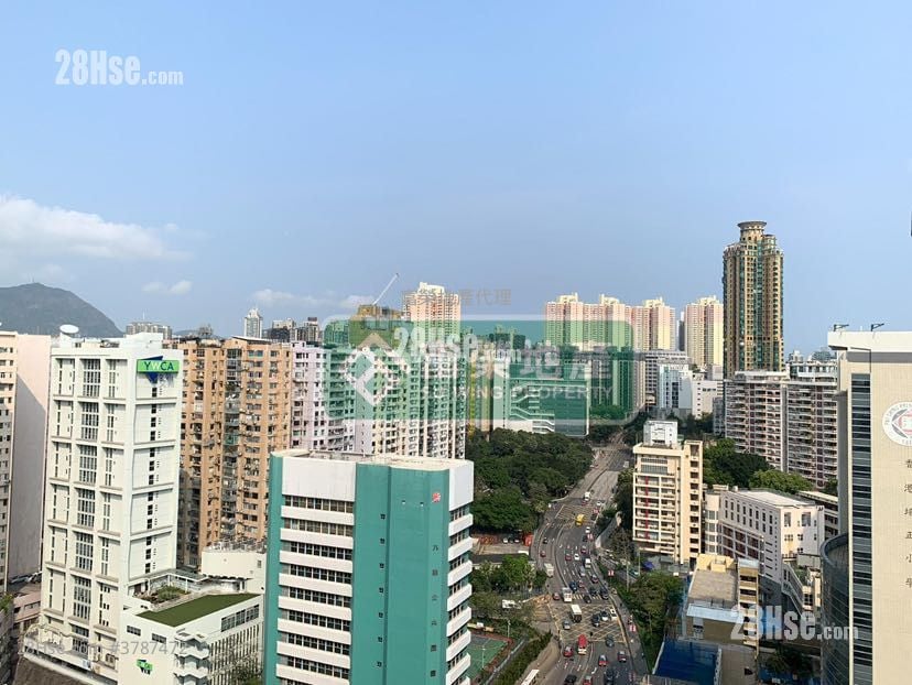 胜利道一号 售盘 2 房 , 1 浴室 556 平方尺