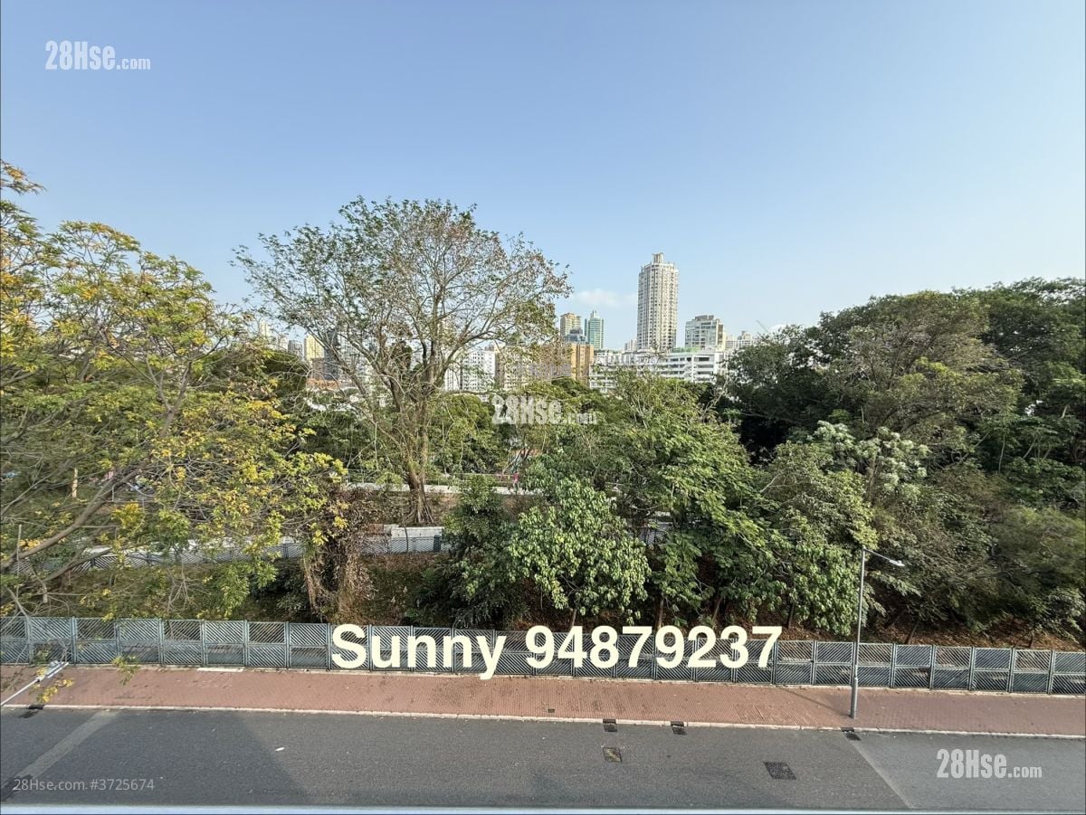 寿菊路10号 租盘 3 房 , 3 浴室 1,197 平方尺