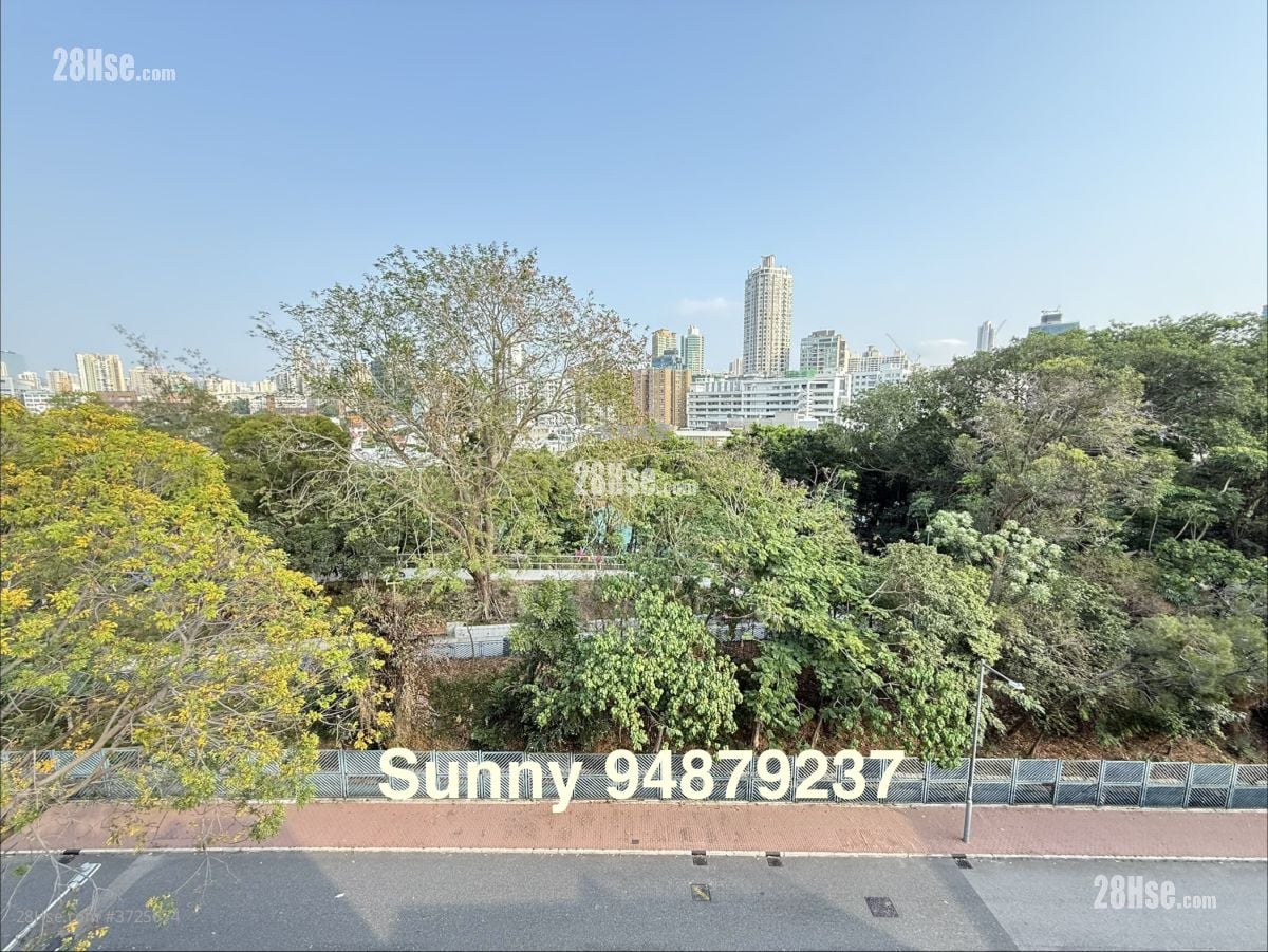 寿菊路10号 租盘 3 房 , 3 浴室 1,197 平方尺