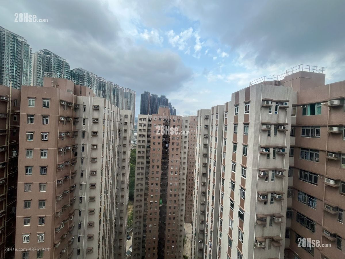 云叠花园 售盘 593 平方尺