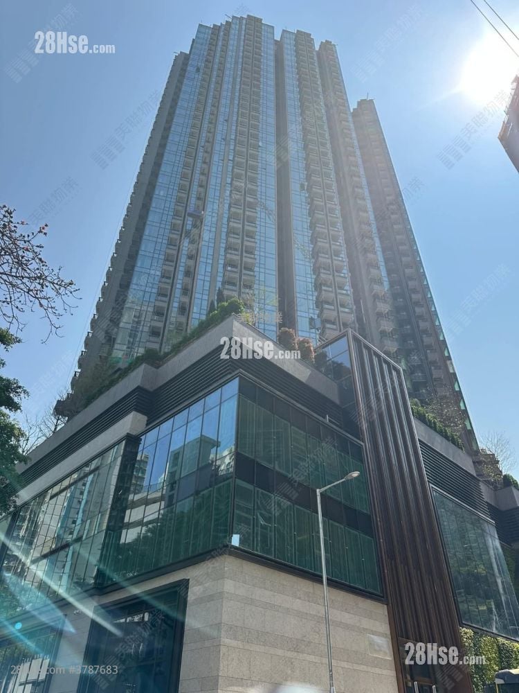 朗誉 售盘 1 房 312 平方尺